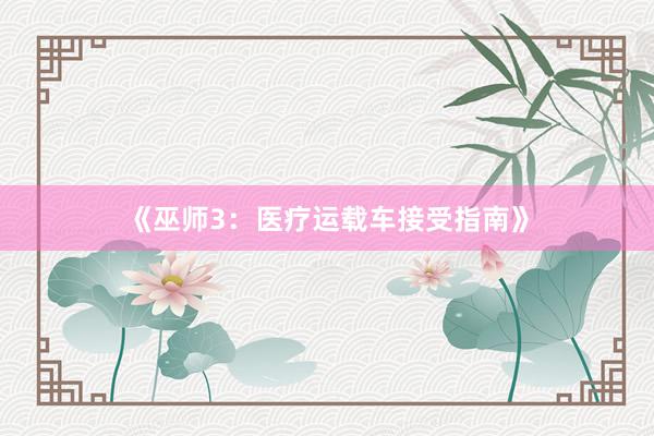 《巫师3：医疗运载车接受指南》