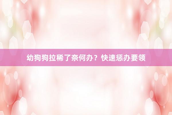 幼狗狗拉稀了奈何办？快速惩办要领